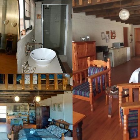 Pureplaas Self Catering Volmoed Oudtshoorn Klein Karoo Apartment Екстериор снимка