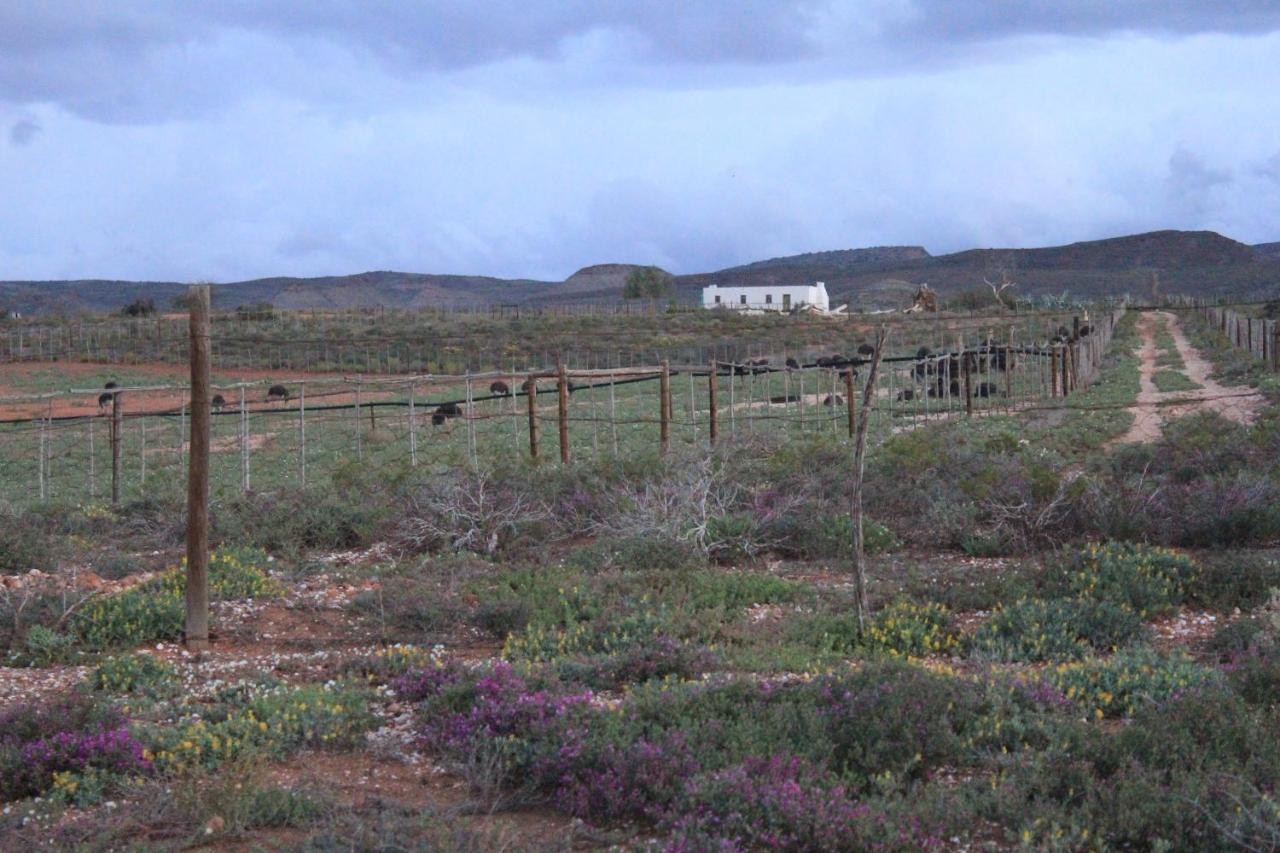 Pureplaas Self Catering Volmoed Oudtshoorn Klein Karoo Apartment Екстериор снимка