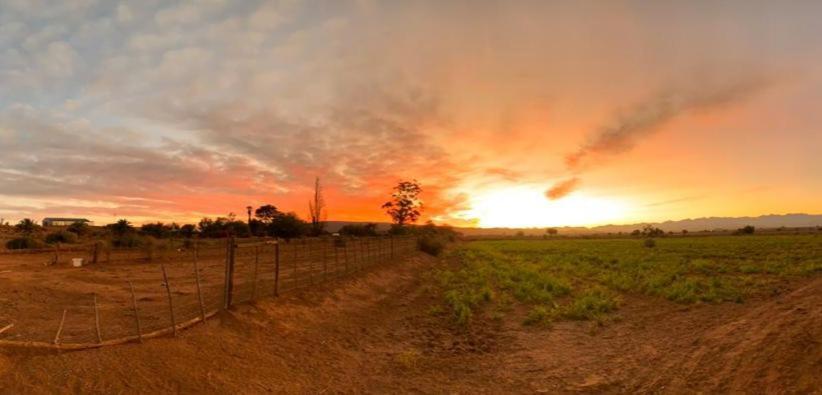 Pureplaas Self Catering Volmoed Oudtshoorn Klein Karoo Apartment Екстериор снимка