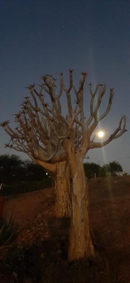 Pureplaas Self Catering Volmoed Oudtshoorn Klein Karoo Apartment Екстериор снимка