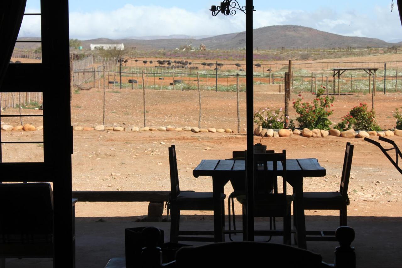 Pureplaas Self Catering Volmoed Oudtshoorn Klein Karoo Apartment Екстериор снимка